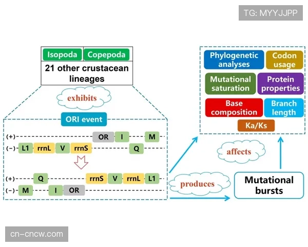 英超与大学合作推出运动科学课程，模块包括“传中生物力学分析”